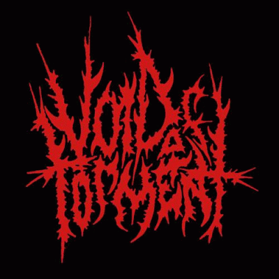 logo Void Of Torment
